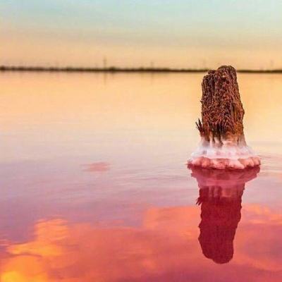 娱乐宝官网app下载