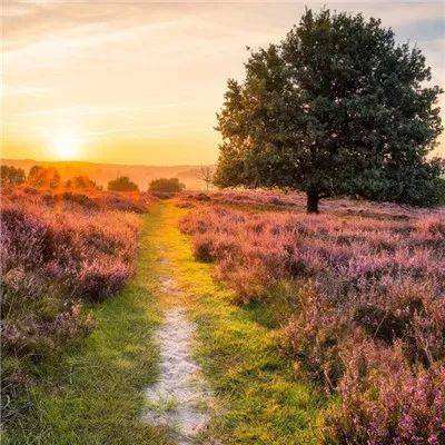 半岛·体育BDSPORTS