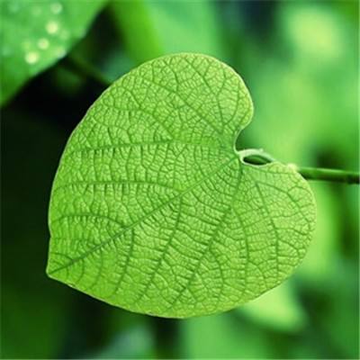 棋牌游戏手机app下载